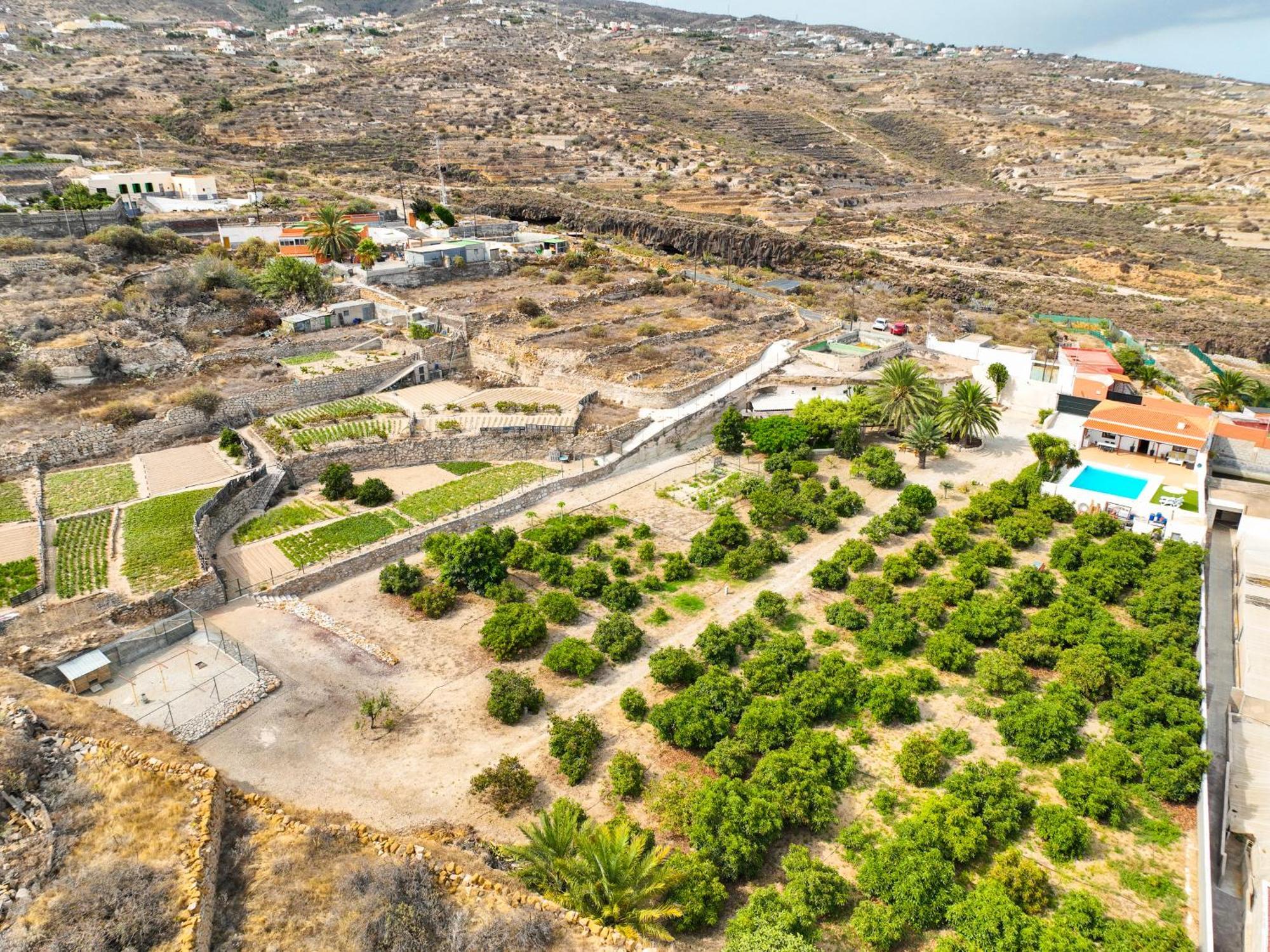 Villa Private House With Pool & Garden à Güimar Extérieur photo